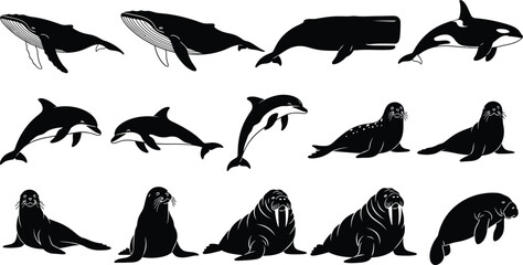 Silhouette of various dolphins and seals isolated on transparent background © mdkamran
