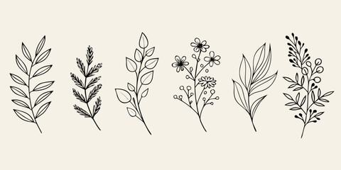 Fototapeta premium Delicate botanical illustration featuring various hand drawn leafy branches and flowers