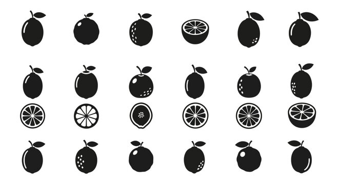 Citrus Fruit Icons: Lemons, Limes, Oranges, Grapefruits - Vector Set