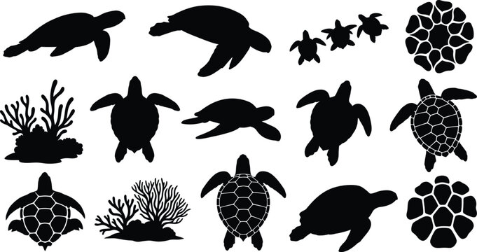 Silhouette of various sea turtles isolated on transparent background
