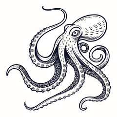 Obraz premium Tentacles of an octopus. Hand drawn vector illustration in engraving technique isolated on white background.