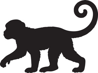 Obraz premium Monkey silhouette with playful pose and curved tail, fun jungle animal concept, minimal black vector illustration.