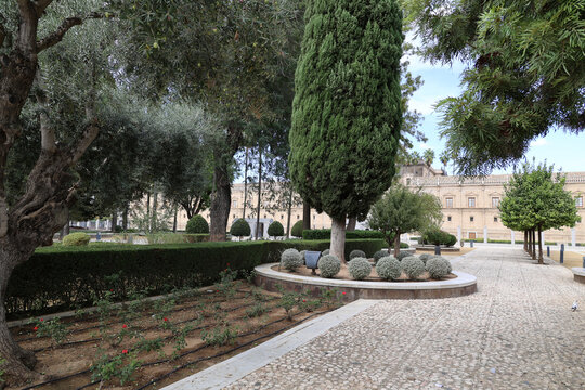 In the park in front of the parliament building in Seville,Macarena, Andalusia, Spain