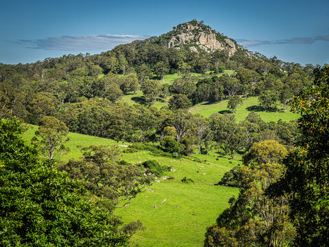 Central Tilba Detailed View Across To Mountain
