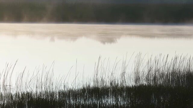 Peaceful Dawn Over Water. Tranquil Marshland Scene With Gentle Morning Fog And Peaceful Reflections