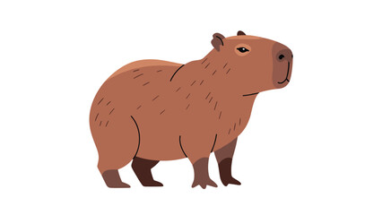 Obraz premium Simple and cute illustration of a brown capybara standing against a plain white background in a flat design style.