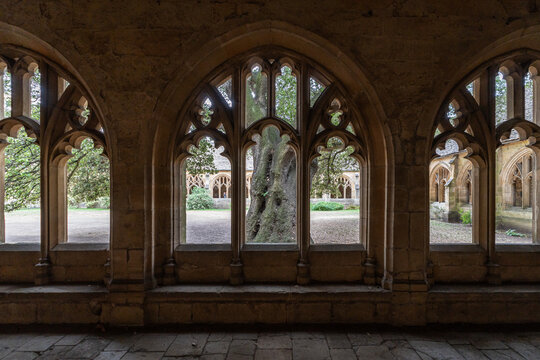 The cloisters of New College in Oxford. A fine example of medieval Gothic architecture and a famous Harry Potter filming location