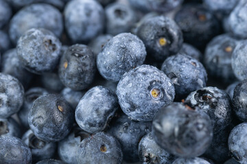 blueberries fruit macro blue berry ripe fresh drops organic background top view natural texture concept of food industry agriculture wellness © Lana Pietukhova
