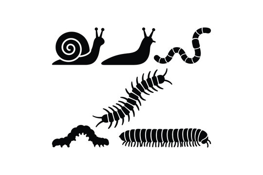 Garden Invertebrates Black Icon Set - Snail Slug Worm Millipede Centipede Icon Collection