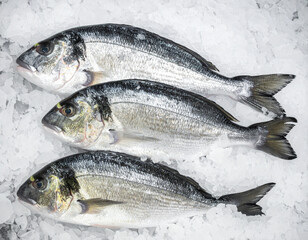 Obraz premium Fresh sea bream on ice display