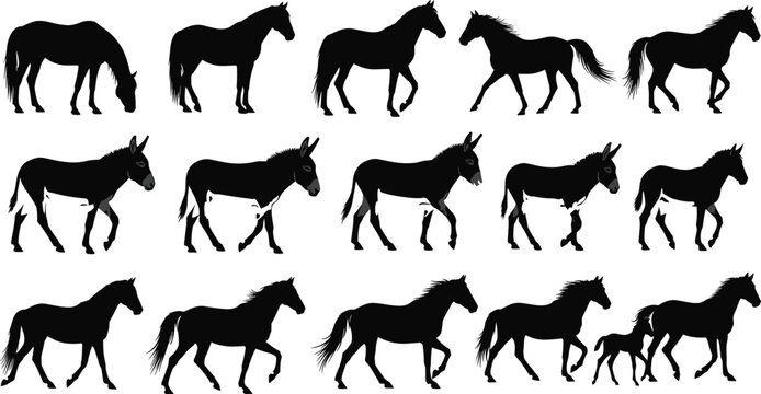Horse and Donkey Silhouette Vector Set Featuring Stallion, Mare, Foal, and Mule in Various Poses Like Galloping, Walking, Grazing, and Running for Wildlife Design.