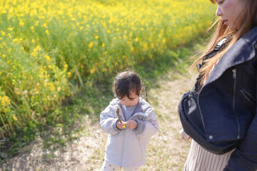 Golden fields stretch wide behind two figures walking. Child gazes down, curious about something in their hands. Woman beside them walks quietly, hands gently holding her own