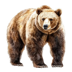 Fototapeta premium Brown Bear, vibrant watercolor vector, isolated on a white background, high quality and detailed design.