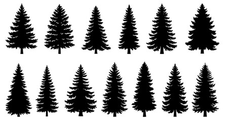 Obraz premium Pine and Spruce Tree Silhouette Collection Forest Conifer Vector Set