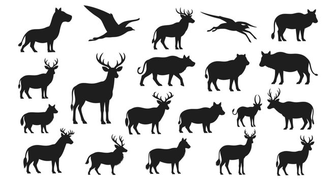 Various Silhouetted Wild Animals.