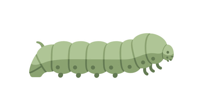 Green Caterpillar Illustration Side View.