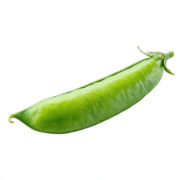 Single Green Pea Pod With Water Droplets Isolated On White Background Healthy Food Ingredient