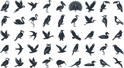 Large Collection of Black Bird Silhouette Icons Featuring Owl Parrot Flamingo Peacock Penguin Toucan and Eagle for Nature and Wildlife Vector Designs © MdSohanurRahman