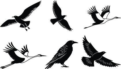 Fototapeta premium Six black silhouettes of birds in various flying positions on a white background