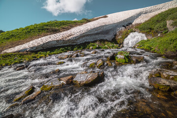 Big waterfall flows from mossy rock under snow cornice in sunny day. Green alpine scenery with pure mountain creek among wild lush flora in bright sun. Large river source under snowfield in sunlight. © Daniil