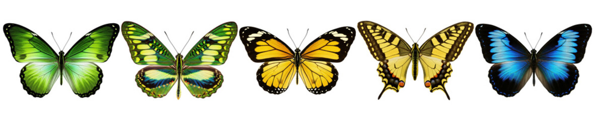 Collection of five beautifully detailed butterflies showcasing vibrant colors and unique wing patterns. © GraphicPNG