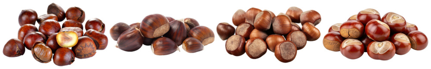 Fototapeta premium Collection of various piles of fresh hazelnuts, some in shell and some cracked, isolated on a transparent background.