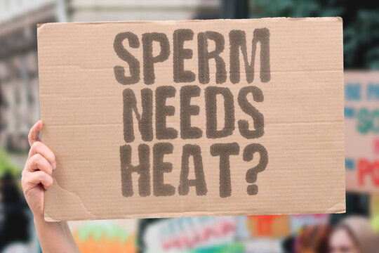 "Sperm Needs Heat?" Sperm production requires a temperature slightly below core body temperature, which is why testes are external. SPERM. FERTILITY. TESTOSTERONE. HEALTH. BIOLOGY.