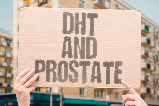 "DHT And Prostate" Dihydrotestosterone converted from testosterone is the primary androgen responsible for prostate cell growth. PROSTATE. DHT. TESTOSTERONE. HORMONE. CANCER.