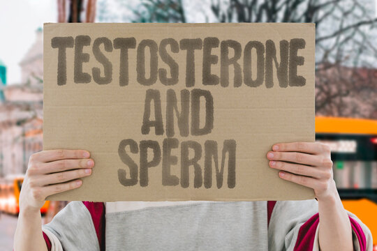 "Testosterone And Sperm" Maintaining adequate testosterone levels is the most direct way to support ongoing healthy sperm production. SPERM. TESTOSTERONE. FERTILITY. HORMONE. HEALTH.