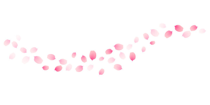 Sakura cherry petals, pink apricot flowers falling border. Cute spring japanese floral vector background