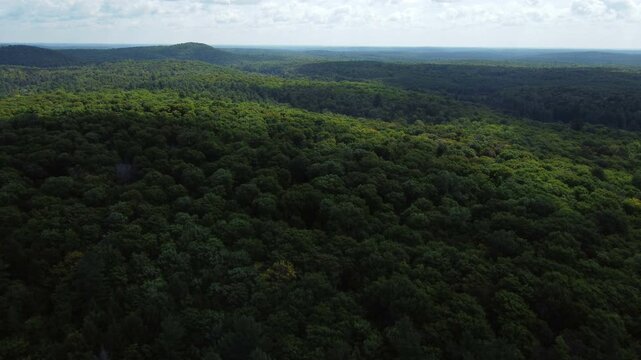 Aerial over crown land wilderness in Tory Hill, Haliburton Highlands East, Ontario, Canada. Flying over miles of wild evergreen pine forest with growing dark shadows from clouds on a summer afternoon.