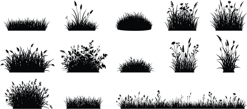 Grass and bush silhouettes set, wild meadow plants collection, decorative nature elements, botanical landscape design, black vector illustration isolated background