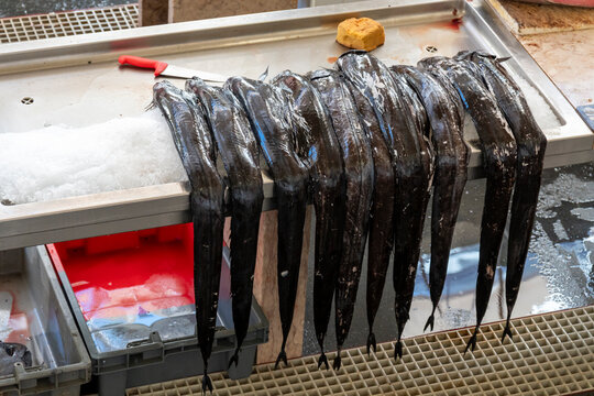 black scabbardfish (Aphanopus carbo), known locally as espada preta, which can reach up to 145 cm for sale in the market   Funchal city in Madeira island Portugal