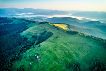 Naklejka premium Aerial view of mountain hills covered pine forest.