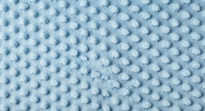 Soft light blue plush minky fabric with a raised dot pattern texture.