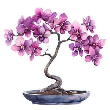 Purple Orchid Tree Bonsai, watercolor painting with colorful accents, isolated on a white background.