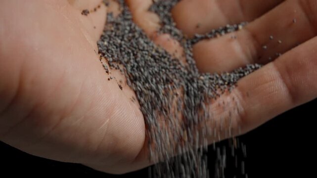 A man pours poppy seeds from his palm, on a black background.