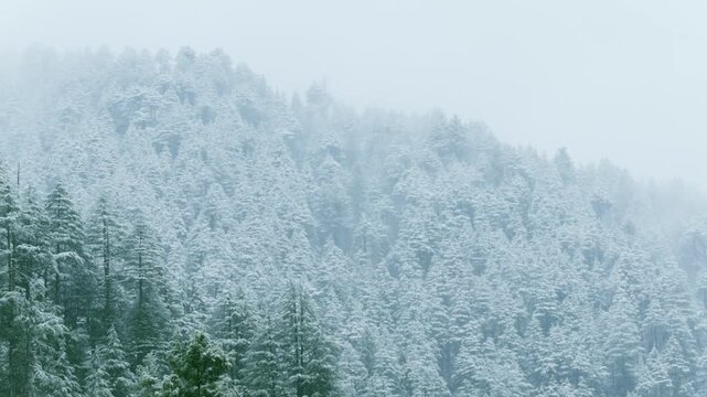 Live View of Snowfall from Hotel in Auli Laga, Uttarakhand, India