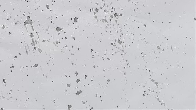 Black paint splash spreading on white paper stop motion animation, abstract ink splatter texture background for creative design