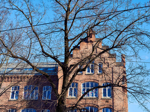 Oslo with a school at Gr&uuml;nerl&oslash;kka in March 2026.