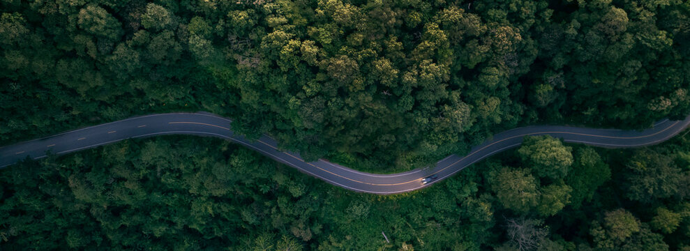 Nature road landscape from above, symbolizing long-term sustainable growth, eco investment strategy, and green transport solutions.