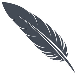 Obraz premium Single Dark Gray Feather with Detailed Barbs and a White Quill