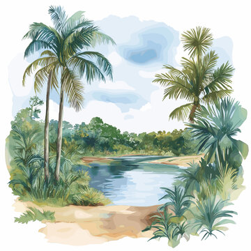 Galibi Nature Reserve. Galibi Nature Reserve hand drawn watercolor illustration