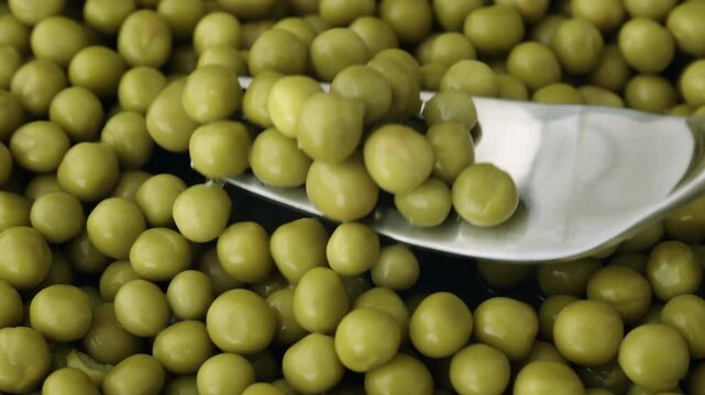 Metal fork taking portion of green peas from pile of cooked canned peas