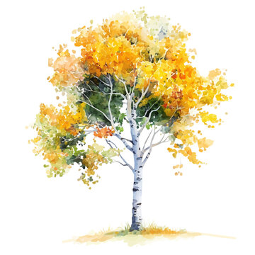 Aspen Tree, clean semi-realistic fantasy style, soft magical glow, watercolor artwork, white backgroundv