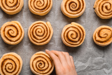 Fototapeta premium Woman putting uncooked cinnamon rolls on baking dish