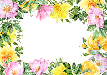 Fototapeta premium Horizontal rectangular frame with rosehip yellow and pink flowers