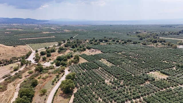 Antikes Olynthos in Chalkidiki, Griechenland