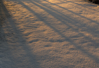 a snow-covered clearing in warm sunlight and with shadows © Farkhad
