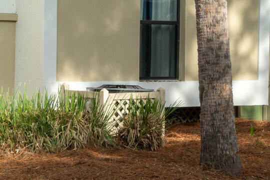 Outdoor central air conditioning unit behind a decorative lattice fence, surrounded by green foliage and pine needles, next to a building wall and a tropical palm tree trunk.